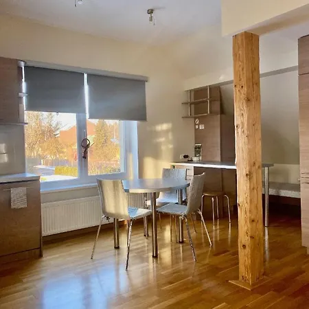 Apartment Skolas Iela , *